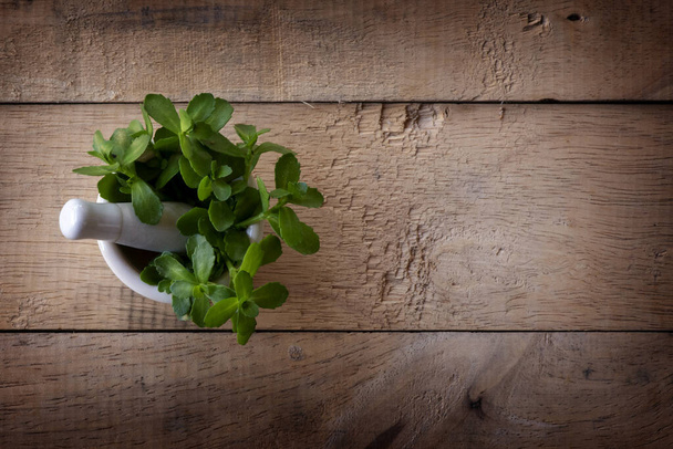 Alternative medicine herb , mortar, laboratory glassware, on a wooden background. - Photo, Image