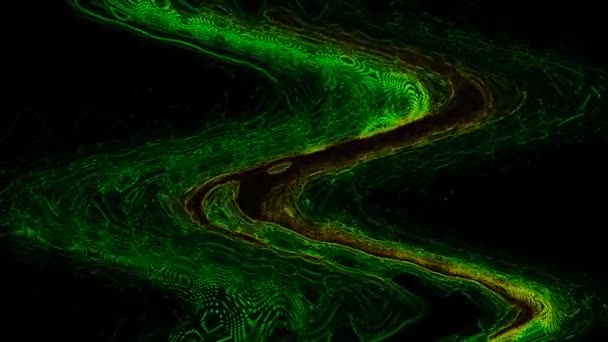 Green abstraction curves on a black background stock video is a great video. This 1920x1080 (HD) video clip can be used as background in any project. This footage will look great in your next edit, project, or movie. - Footage, Video