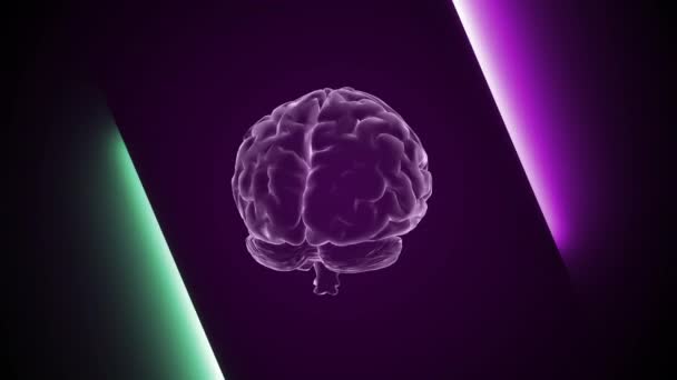 3D animace mozku a neonové efekty, kreativní animace 4k. Nekonečná smyčka. - Záběry, video