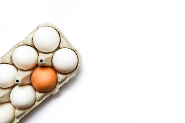 Beyazların arasında kahverengi yumurta bir tepsidir. - Fotoğraf, Görsel