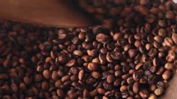 robusta grão de café torrado no processo de tradição antiga
 - Filmagem, Vídeo