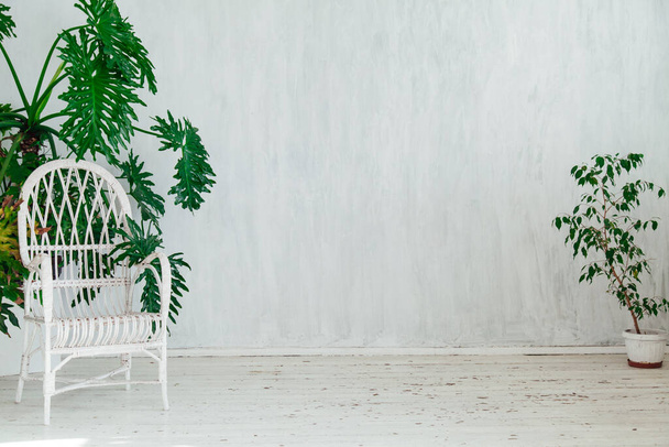 λευκή καρέκλα και πράσινο σπίτι-καλλιεργούνται εσωτερικό δωμάτιο - Φωτογραφία, εικόνα