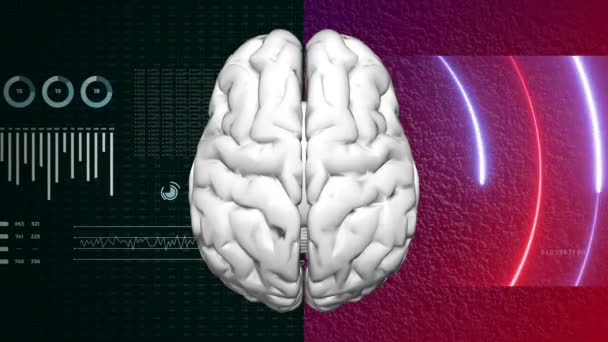 Αριστερό και δεξί ανθρώπινο ημισφαίριο εγκεφάλου. Λογική και δημιουργική πλευρά. 4ια - Πλάνα, βίντεο