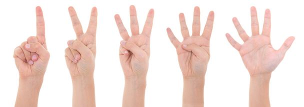 manos contando de uno a cinco aislados sobre fondo blanco - Foto, Imagen