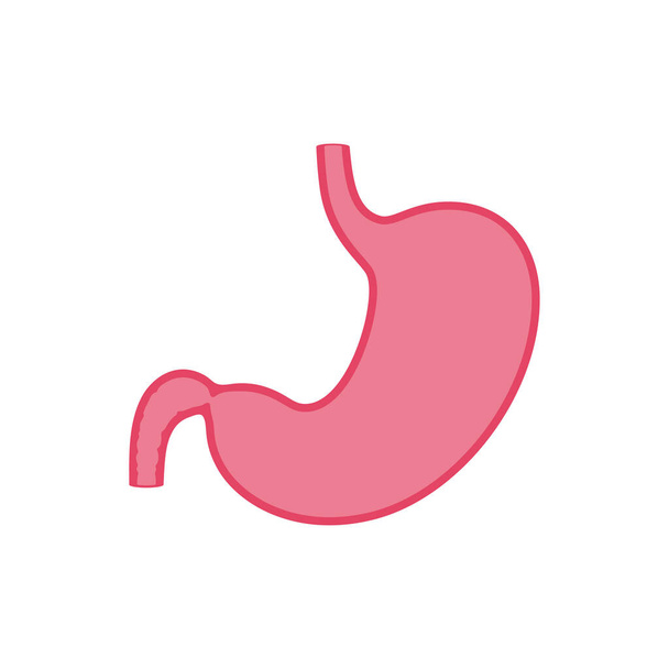 Vector isolated illustration of stomach - Vecteur, image