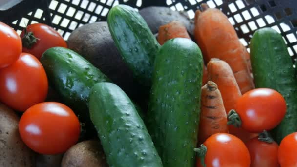 Doos met groenten aardappelen bieten komkommers cherry tomaten kool uien wortel close-up. Levering van voedsel tijdens de pandemie met het coronavirus en op sociale afstand. Online winkelen. Voedseldonaties - Video