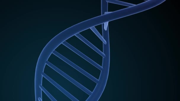 Структура ДНК - діоксирибонуклеїнова кислота. 3D анімація для медичних наукових досліджень РНК та біологічних генетичних молекулярних лабораторних досліджень. 4-кілометровий
. - Кадри, відео