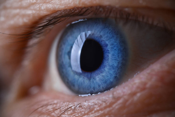 Male eye blu color super macro closeup shot. - Valokuva, kuva