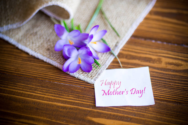 lente paars kleine krokus bloemen op een houten tafel - Foto, afbeelding