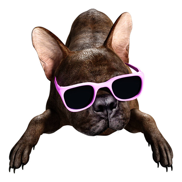3D rendering of a brindle French bulldog in a pink sunglasses isolated on white background - Photo, Image