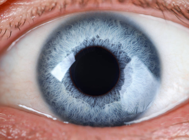 Homme oeil de couleur gris et bleu extrême
 - Photo, image