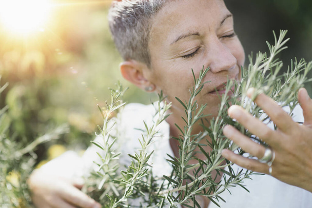 Doğal güzellikte orta yaşlı bir kadın biberiye bitkilerine nazikçe dokunuyor, yaz mevsiminde kokularının tadını çıkarıyor gözleri kapalı olarak. Arka planda güneş batıyor.   - Fotoğraf, Görsel