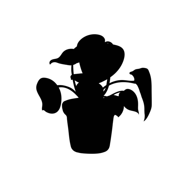 Hand drawn home decoration element. Plant in pot isolated on white. Black flower silhouette - Vector, afbeelding