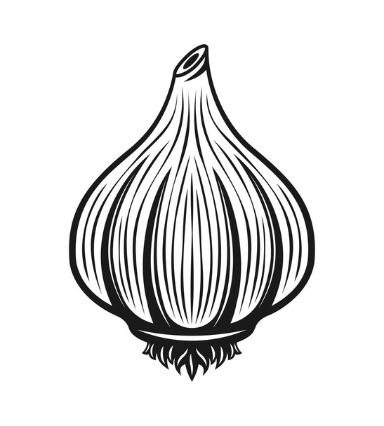 Garlic vector black monochrome graphic object - Вектор, зображення