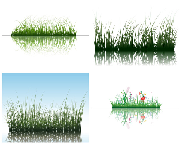 Трава на воді
 - Вектор, зображення