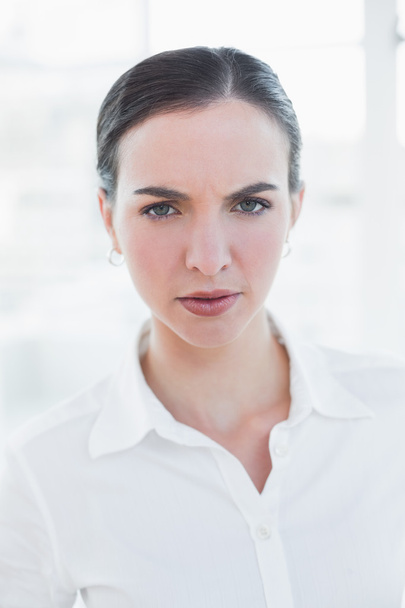 Close up portrait of an elegant businesswoman - Fotoğraf, Görsel