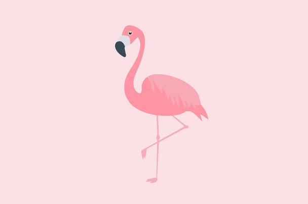 Ilustração Isolada por Vetor de um Flamingo Rosa
  - Vetor, Imagem