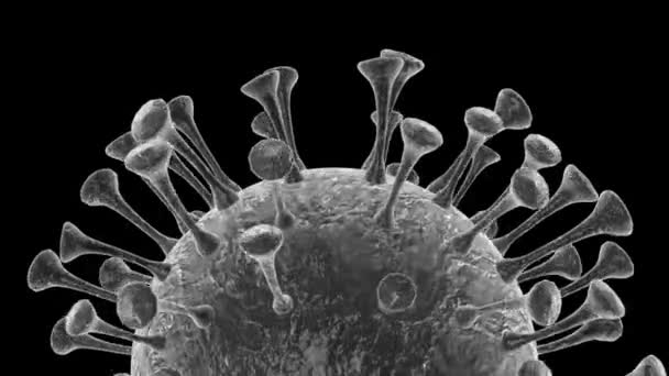 3D ιός covid 19 γκρι Looped με Luma Matte - Πλάνα, βίντεο