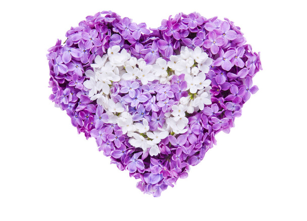 Heart symbol made of fresh violet Lilac flowers isolated on white background. Love concept for Valentine's and Mother's Day. - Foto, Bild
