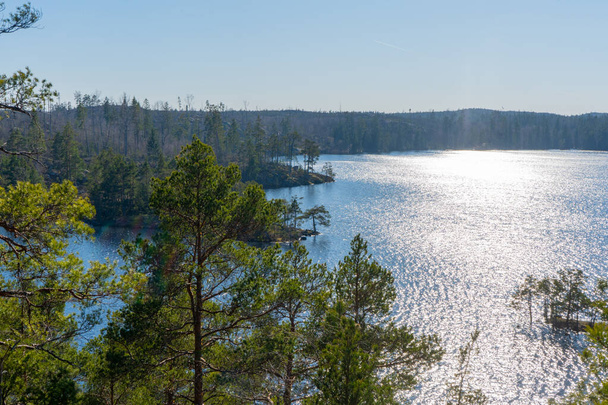 El lago en el bosque sueco. Foto de la naturaleza escandinava. Bosques en el norte de Europa
. - Foto, Imagen