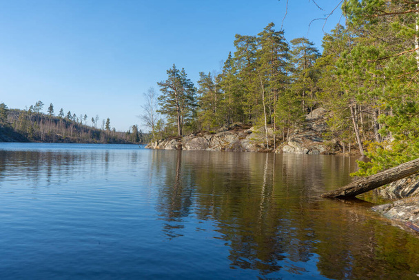 Het meer in het Zweedse bos. Foto van Scandinavische natuur. Bossen in Noord-Europa. - Foto, afbeelding