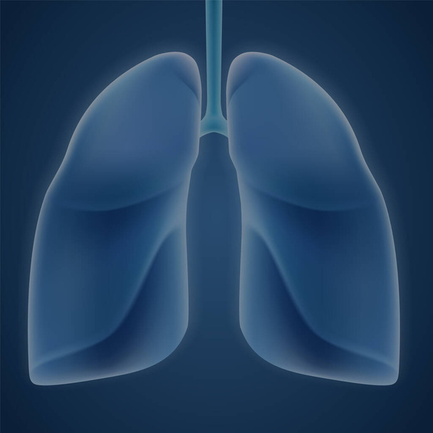 Menschliche Lungen auf blauem Hintergrund. - Vektor, Bild