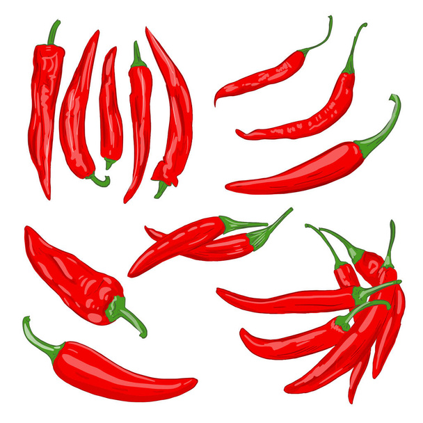 Vector illustration of red vegetables of cayenne hot pepper on a white background - Vector, Image