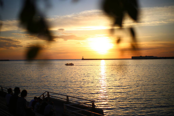 Φωτεινό όμορφο ηλιοβασίλεμα στη θάλασσα Αυτιά του χόρτου και της σίκαλης, σκούρο προσκήνιο, φωτεινό πολύχρωμο αυγή. - Φωτογραφία, εικόνα