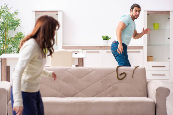 Young couple and snake in the flat - Φωτογραφία, εικόνα