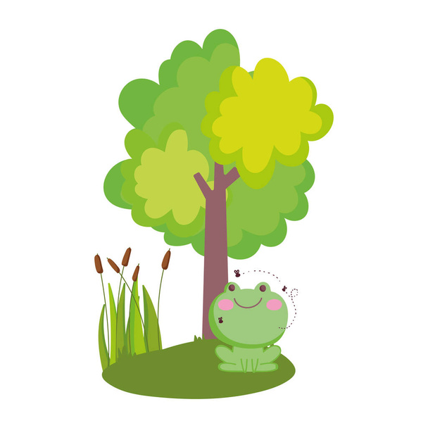 kotieläimet sammakko kärpäset lentävät puiden lehtien luonto sarjakuva
 - Vektori, kuva
