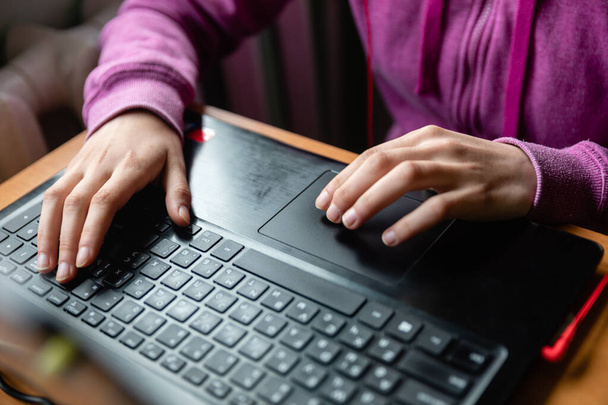 Menina caucasiana jovem em suéter rosa no computador enquanto estuda programação on-line em casa perto do espaço de cópia da janela
 - Foto, Imagem