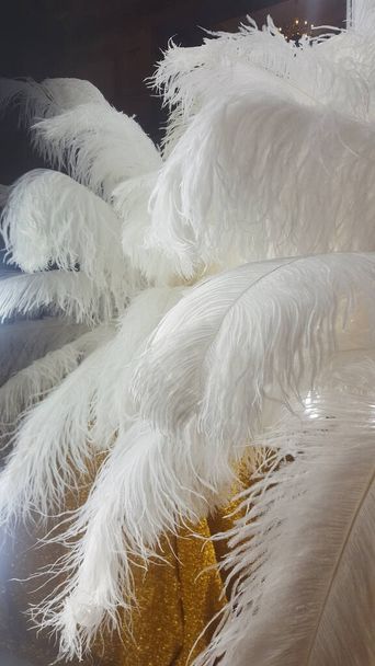Декоративные перья страуса на золотом столе рядом с косметическим зеркалом - Фото, изображение