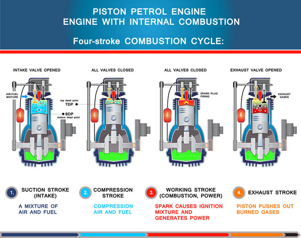 Zuigerbenzinemotor, structurele doorsnede in basisontwerp voor onderwijs, vier stakingsverbrandingscycli - Vector, afbeelding