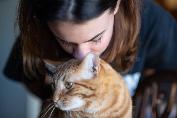 Πορτοκαλί ριγέ Tabby γάτα με χαριτωμένο πρόσωπο υπομένει ένα θηλυκό μέλος της οικογένειας φιλώντας τον στο κεφάλι. - Φωτογραφία, εικόνα