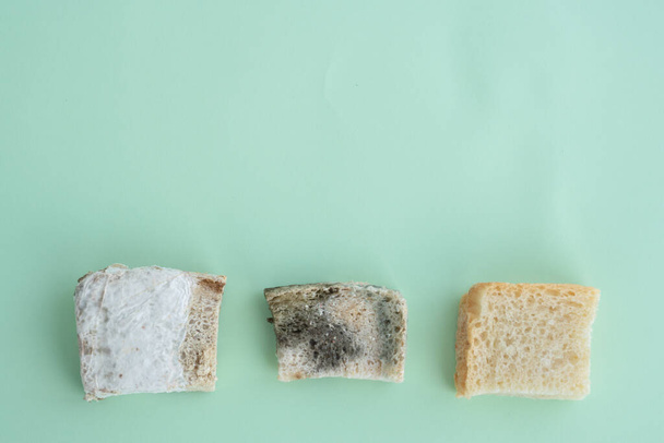 выбор из трех частей белого хлеба покрыты различными типами плесени лежат в нижней светло-зеленый фон, неправильное хранение товаров, нездоровое питание, пространство для текста
 - Фото, изображение