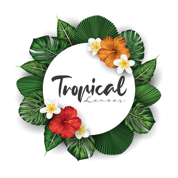 Tropical summer leaves background with jungle plants - Vector, Image