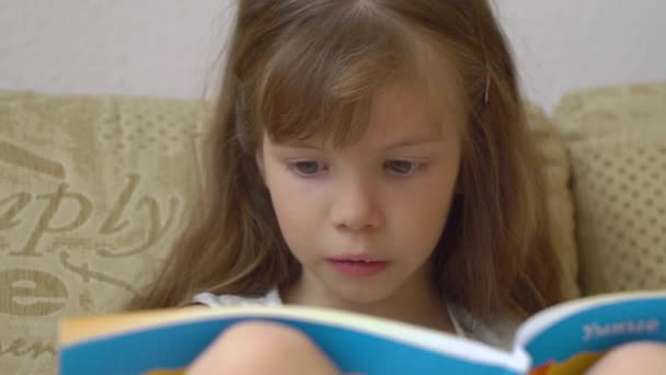 Pieni tyttö lukemassa kirjaa - Materiaali, video