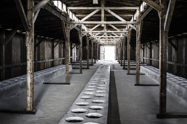 Birkenau Concentration Camp Museum buildings in Poland. - Фото, зображення