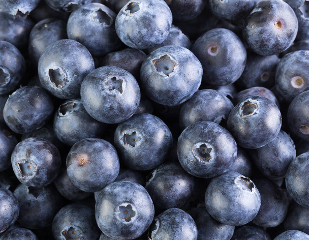 Beautiful fresh large blueberry was photographed in the studio - Photo, Image
