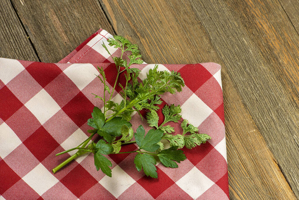 Fresh organic herbs, parsley and cilantro, on a checkered napkin on a wooden table. - Foto, Bild
