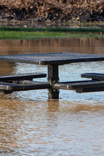 浸水した地域の真ん中にある公園のベンチで - 写真・画像