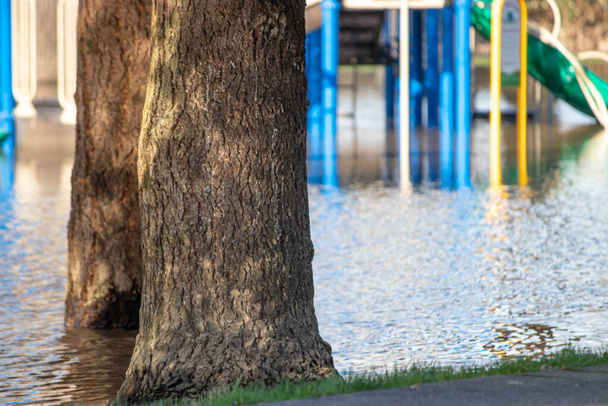 ігровий майданчик на фоні затопленого парку
 - Фото, зображення