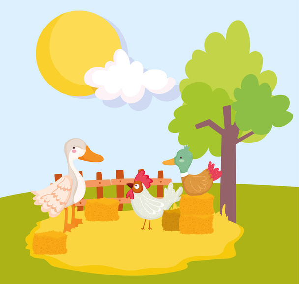 farm animals duck goose and rooster stack of hay and tree - Vector, Image