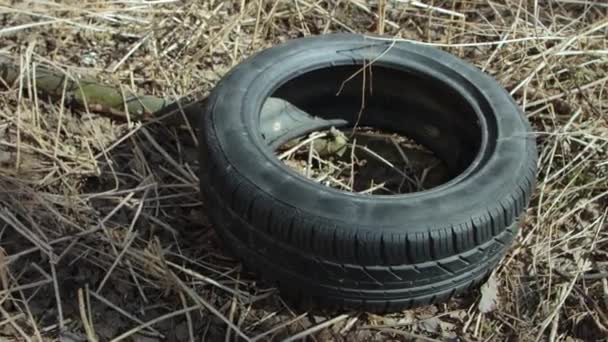 Stará opotřebovaná pneumatika ležící v lese - Záběry, video