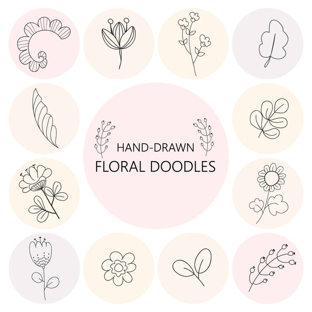 Floral graphic elements set. Flowers and plants hand drawn illustrations. Vintage botanical illustrations. - 写真・画像