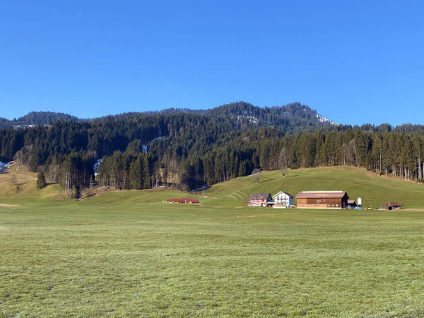 Родинні тваринницькі ферми і традиційна сільська архітектура в долині Альпталь і вздовж річки Альп, Енінедельн - Кантон Швіц, Швейцарія (Швайз.) - Фото, зображення