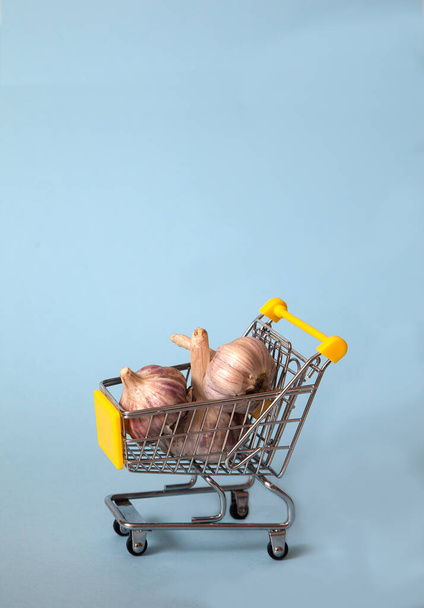 Three heads of garlic lie in a supermarket trolley on a blue background. Useful. Health. copy spaes. spice - Φωτογραφία, εικόνα