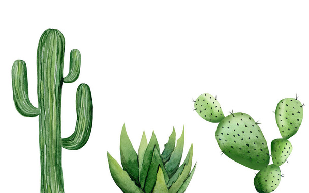 Saguaro cactus. Aloe vera. Green painted plants. Minimalist art set. Detail for card, postcard, wedding invitation, greeting, pattern. Watercolour illustration isolated on white background. - Photo, Image