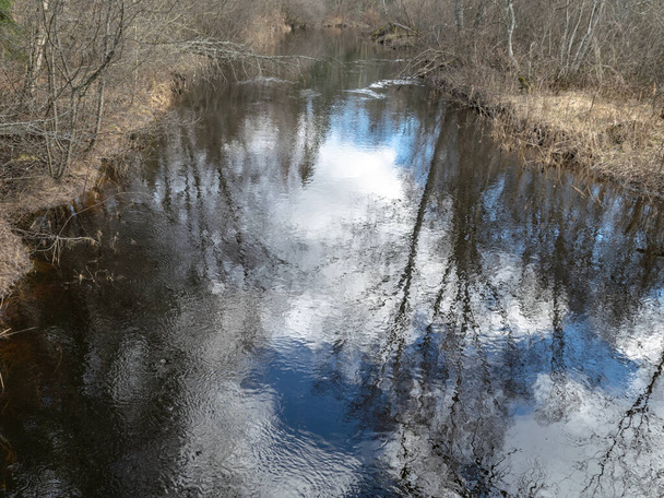 widok na rzekę z mostu, rzeka wczesną wiosną, błękitne niebo i odbicia w wodzie, drzewa bez liści, słoneczny wiosenny krajobraz, rzeka Ruja, Łotwa - Zdjęcie, obraz