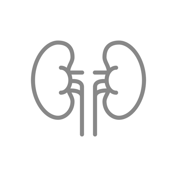 Icono de línea de riñones humanos. Símbolo sano del órgano interno
 - Vector, Imagen